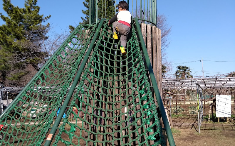 練馬区立こどもの森緑地