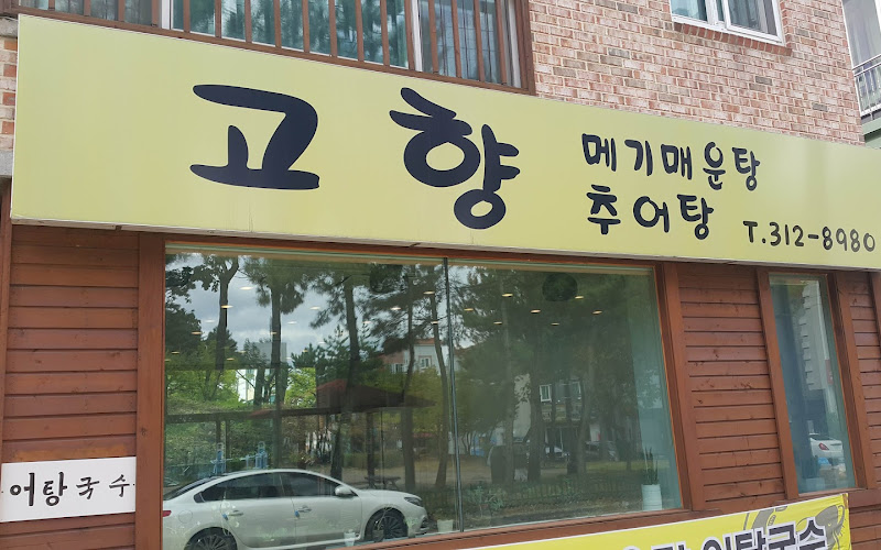 고향메기매운탕