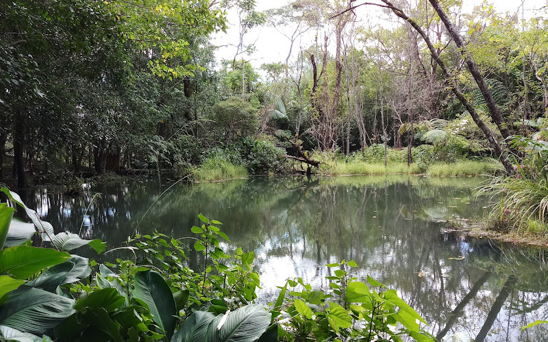 ドーイチャーン仏教公園