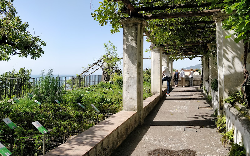 Garden of Minerva