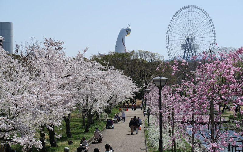 Natural and Cultural Gardens