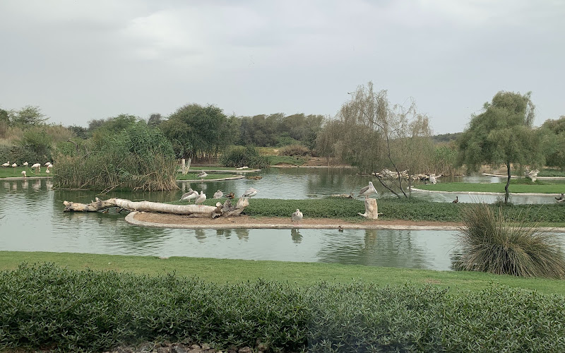 Wasit Wetland Centre