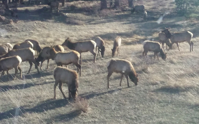 Wilderness Permit Office