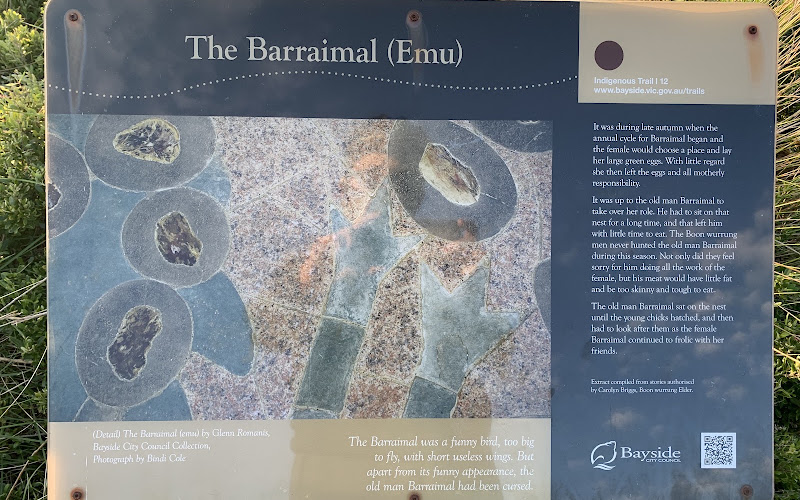 The Barraimal (Emu) Constellation Mural