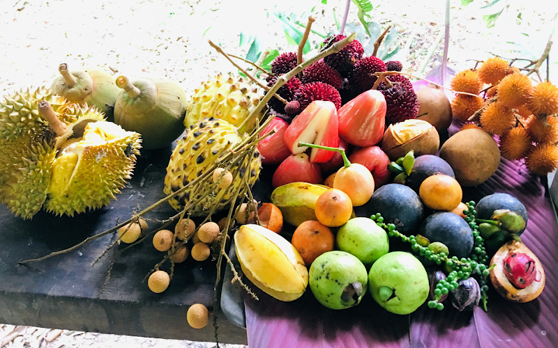 Finca la Isla Permaculture Farm, Plant Nursery and Botanical Garden