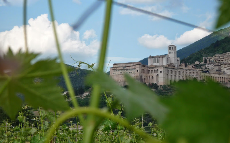 Cantina SAIO Assisi Degustazione vino, olio e prodotti tipici