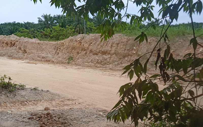 Buloh Inn Action Park