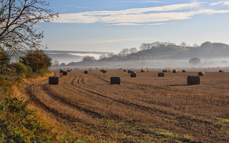Cranborne Chase National Landscape