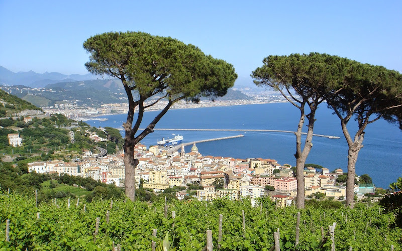 Le Vigne di Raito
