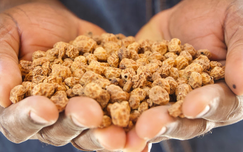 Natural Selection(合) カフェAFROJAM cafe AFROJAM