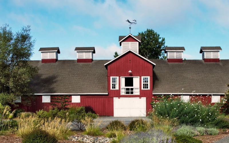 Frog's Leap Winery