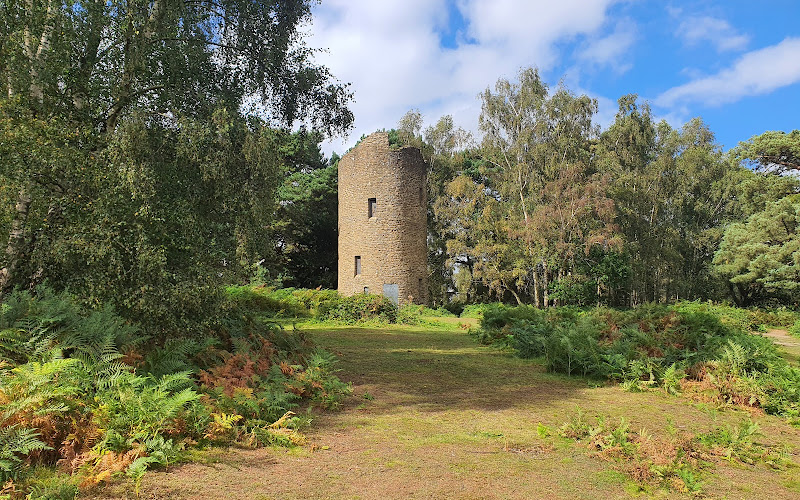 Chinthurst Hill