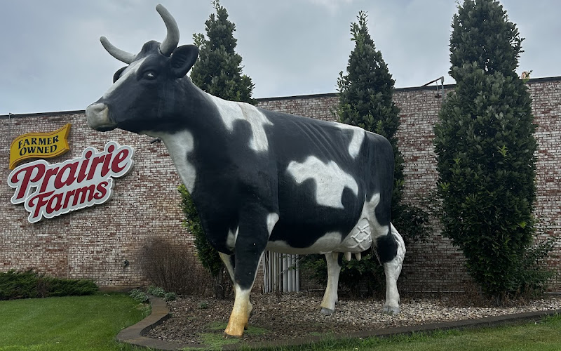 Land O Lakes Cow