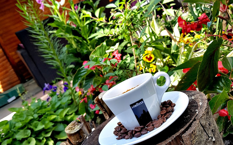Streinu Café
