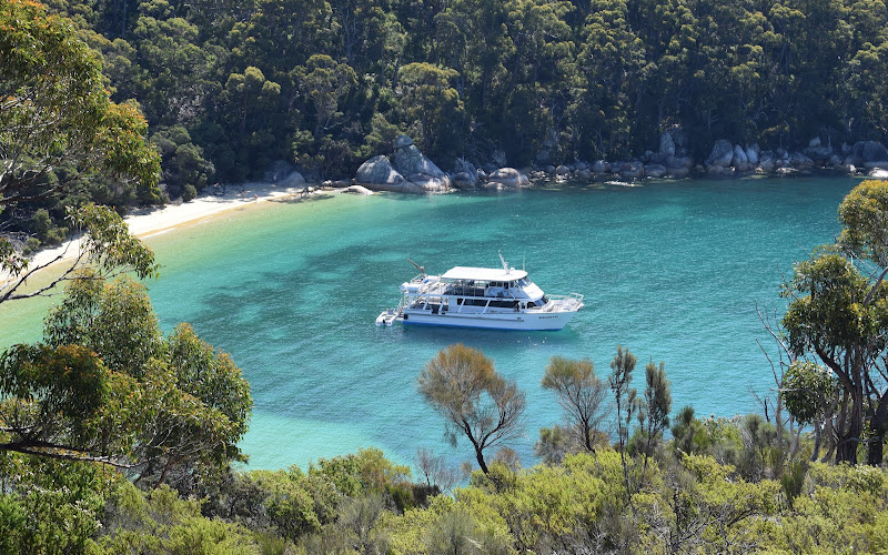 Wildlife Coast Cruises - Cowes