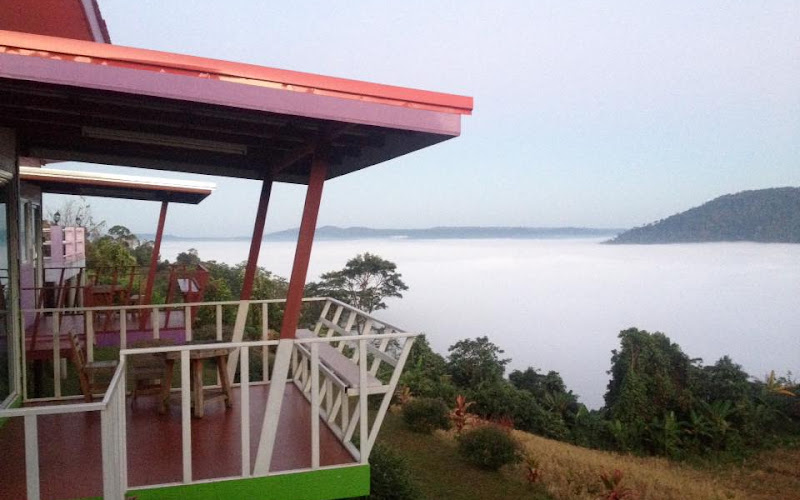 ไร่กำนันวรรชัยทะเลหมอก