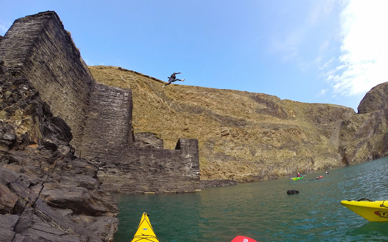 Cardigan Bay Active