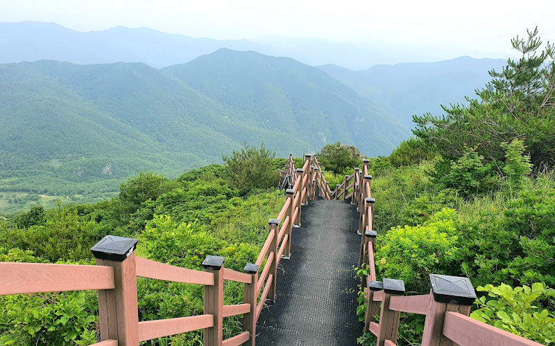 사자평고원 억새밭