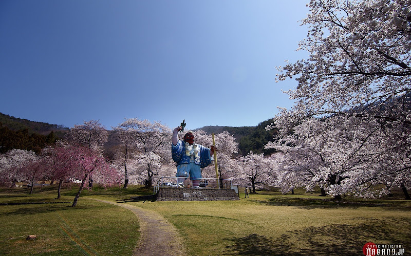 Togurajukusakurakea Park