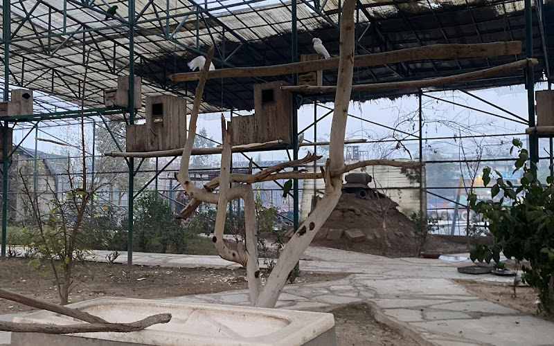 Birds Section Peshawar Zoo
