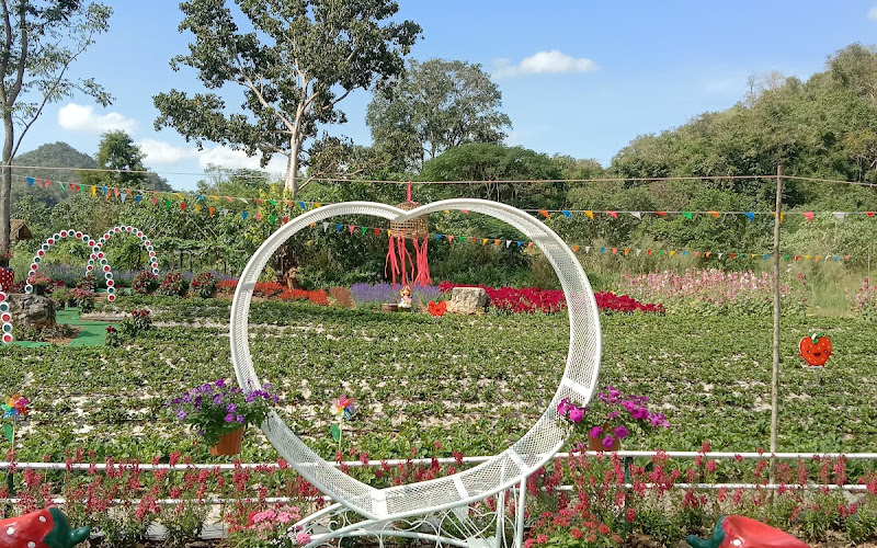 ไร่สตอเบอร์รี่วาเลนไทน์เขาใหญ่