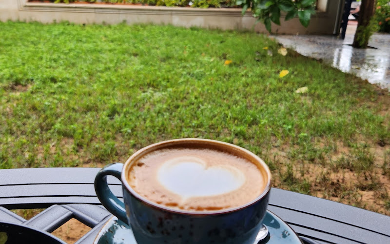 The Lavender Village