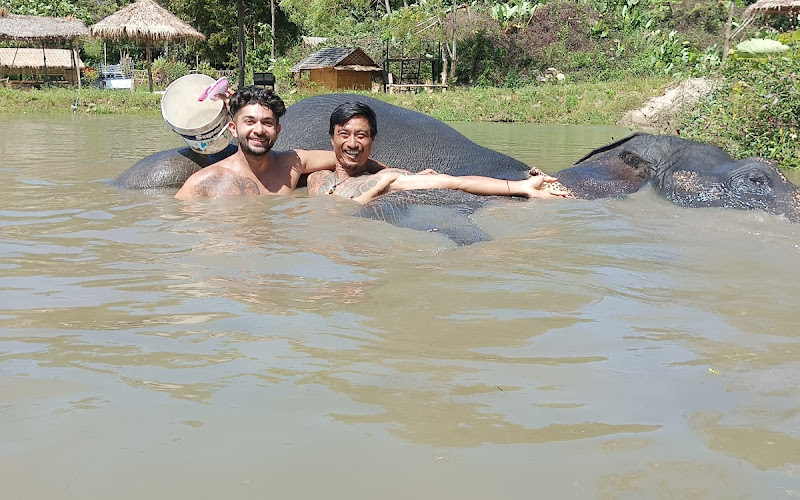 Tonsai Elephant Sanctuary Park Patong