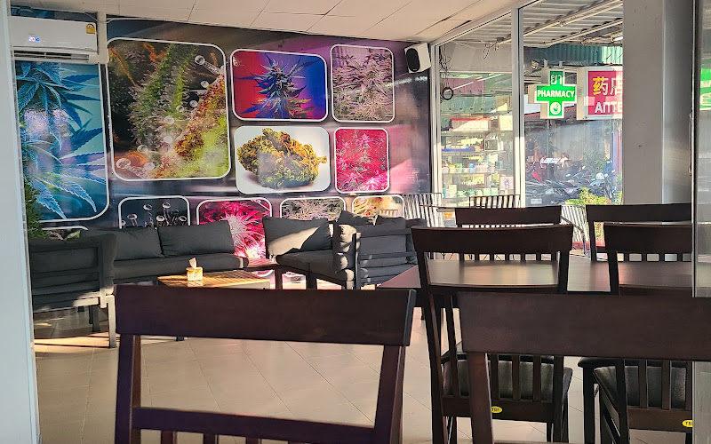 Dank Pizza, Taco & Herb Cafe