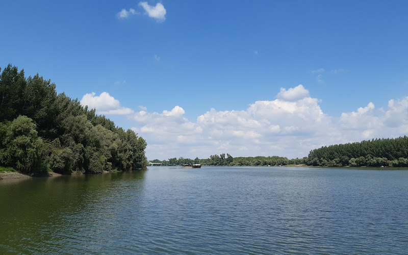 Estuary Tisa in Danube