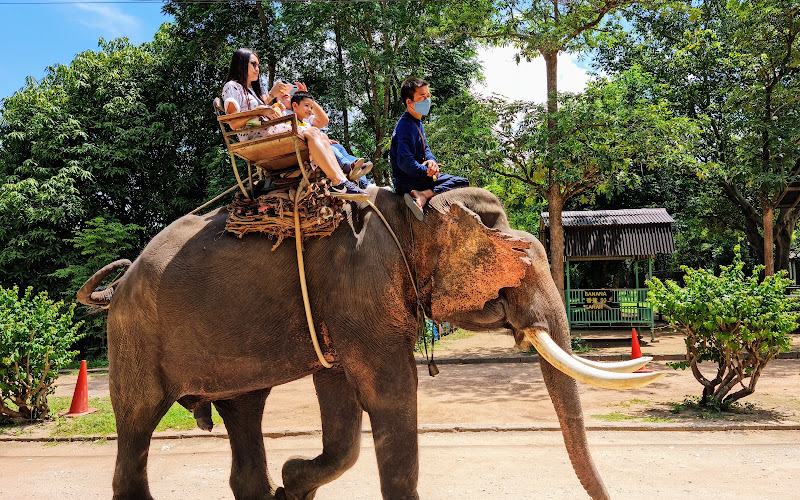 Taweechai Elephant Camp