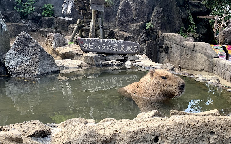 이즈 샤보텐 동물공원