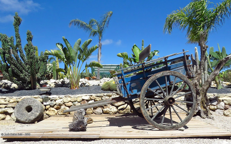 Atlantis Cactus Park
