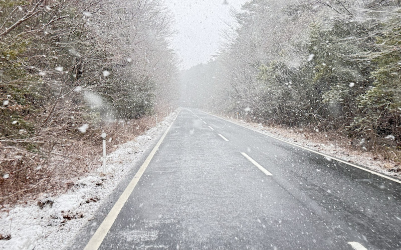 メロディーロード