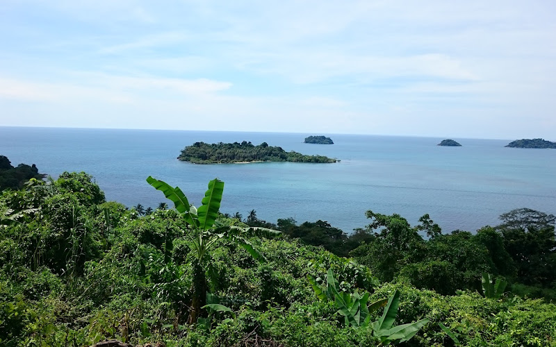 コチャーン樹上散策公園