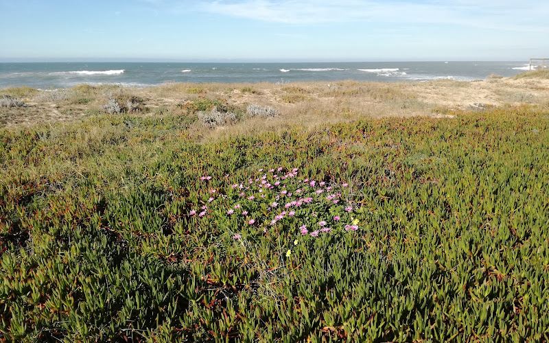 Praia de Moreiró Norte