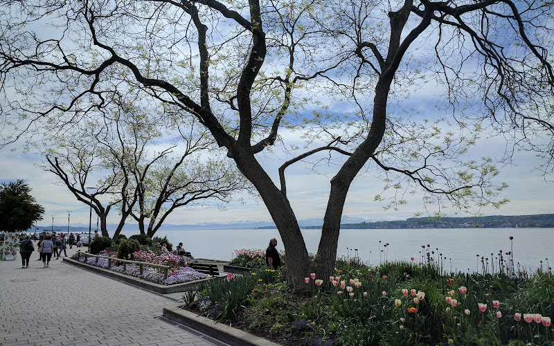 ジッツプロムナーデ