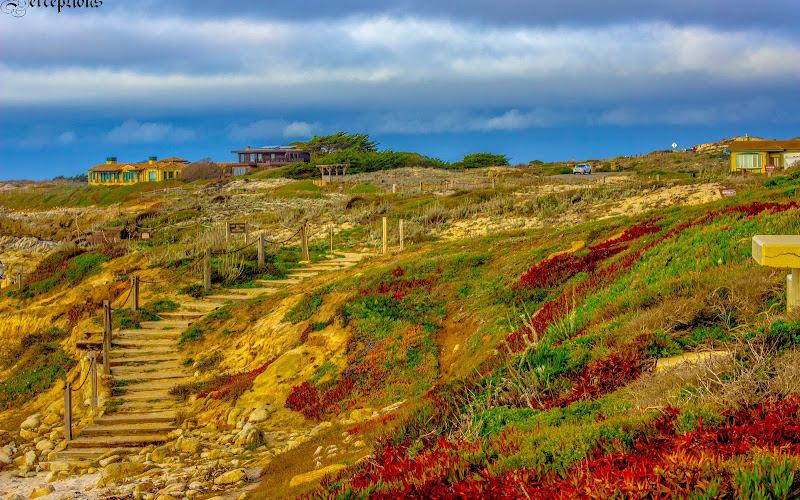 Asilomar State Beach