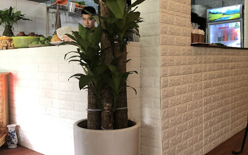 Diamond coffee Ngọc Hồi