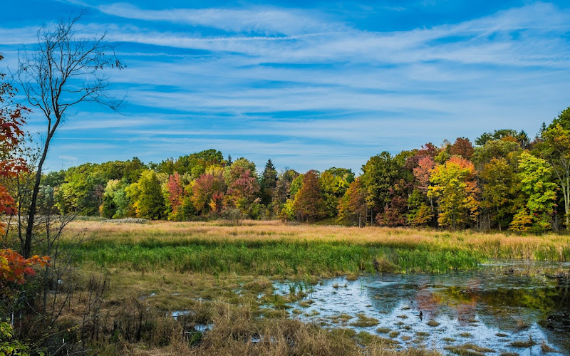 피츠 폰드 보호지역