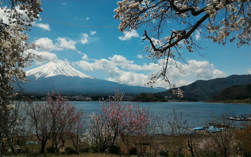 カントリーレイク システムズ