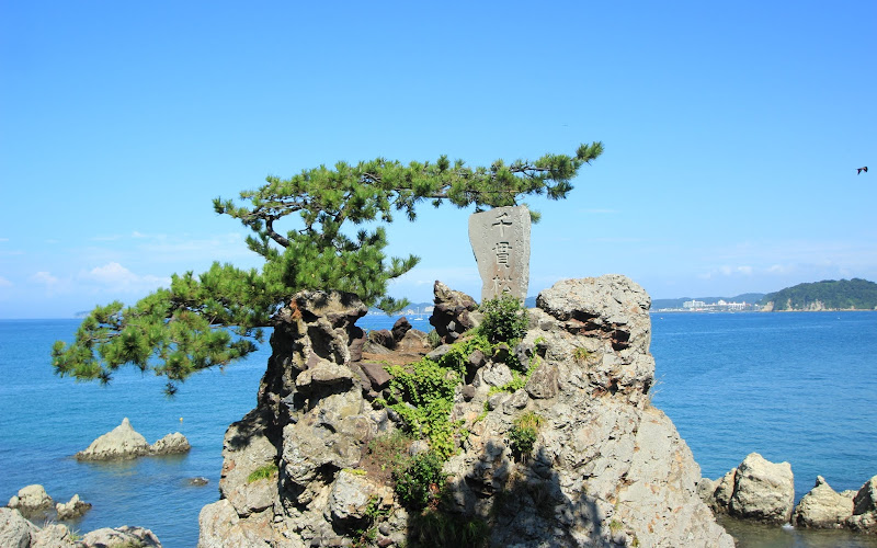 Sengan Pine