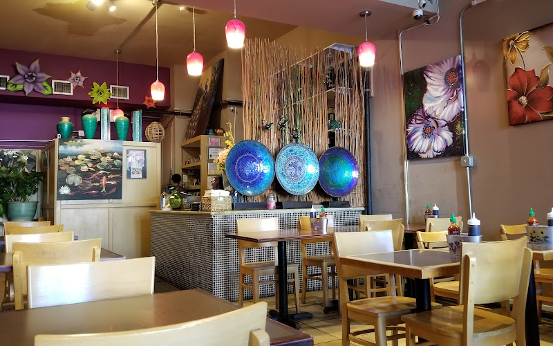 Lilly's Café