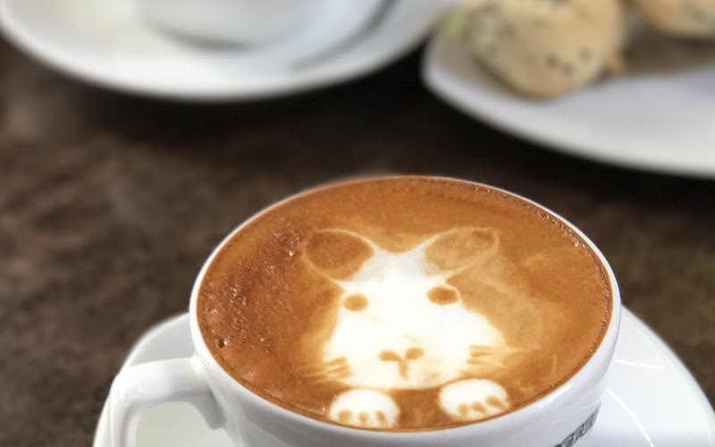 Cuppa-Kap Coffee