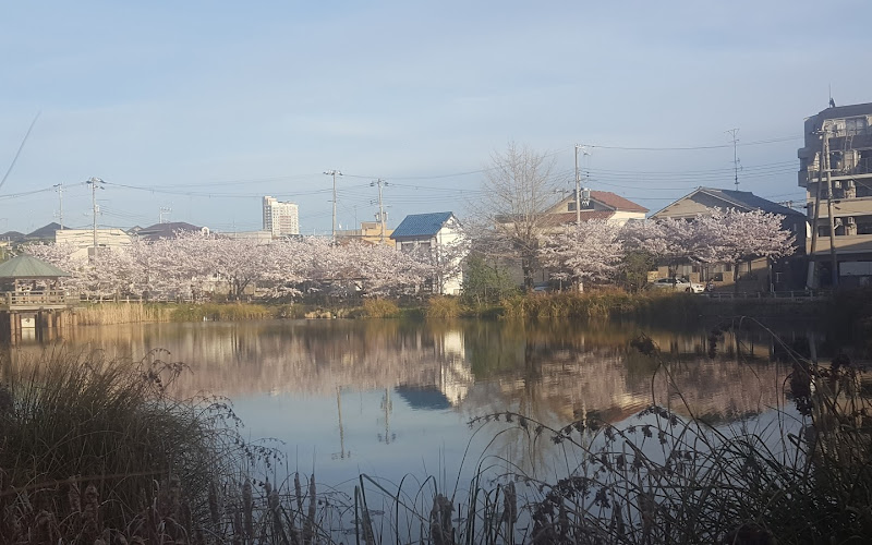 須磨寺公園観月の広場