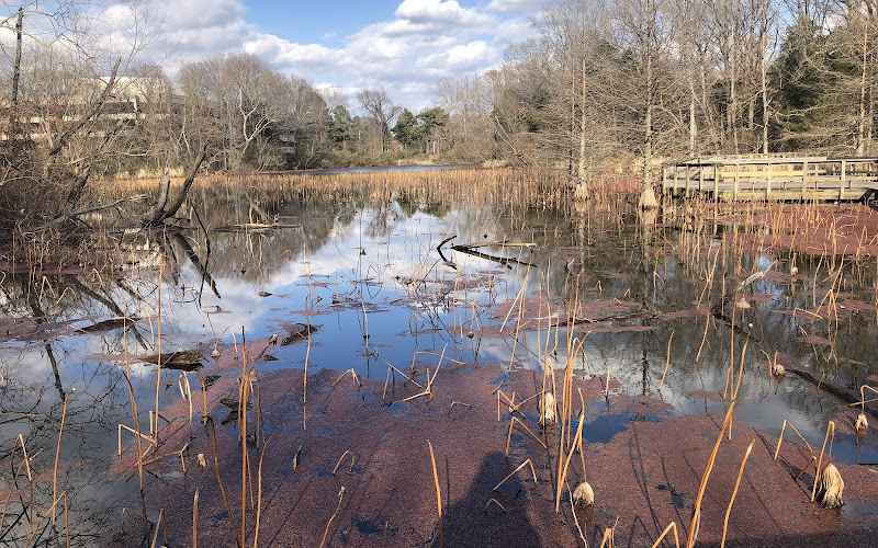 Lichterman Nature Center