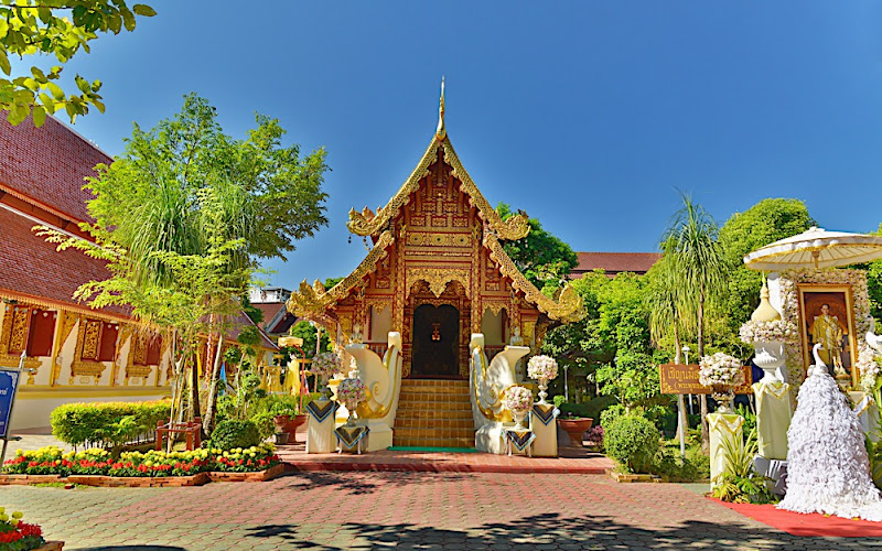 ワットプラシン