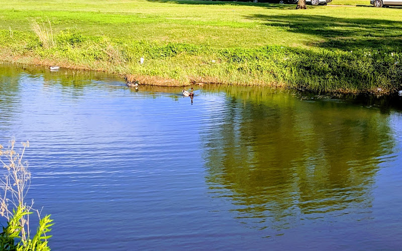 Jennifer McFalls Park