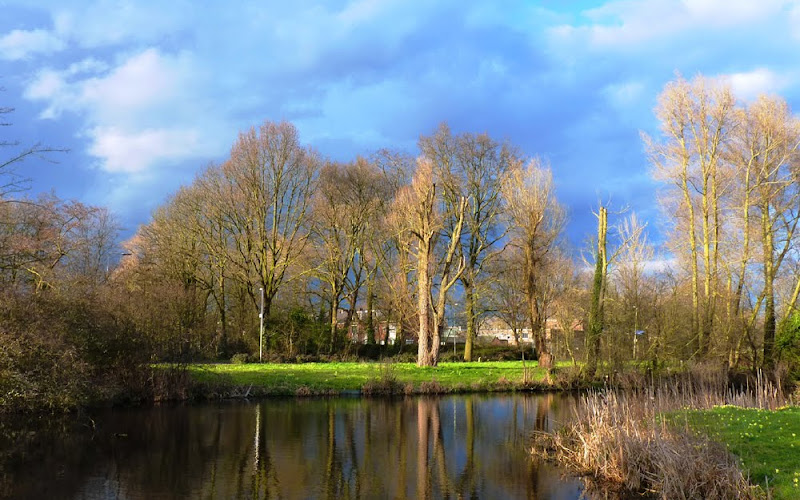 Natuurpark Bloeyendael