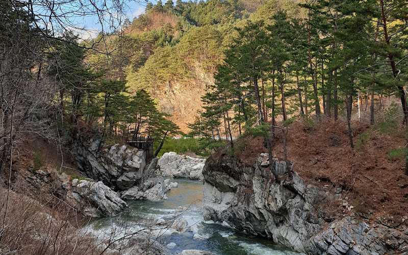 하추자연휴양림