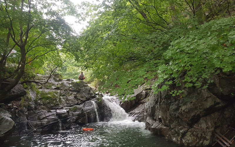집다리골자연휴양림